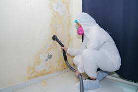 Best Forensic Mold Investigation  in Countryside, IL